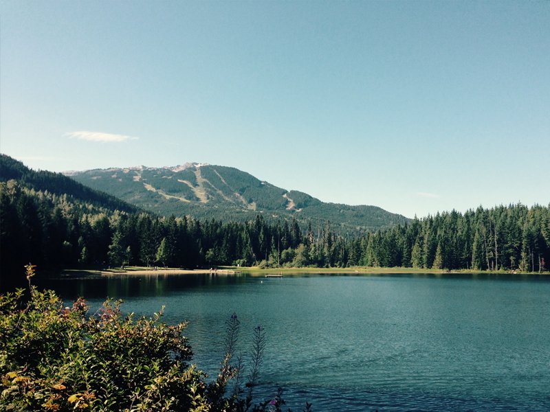 Forest & Lake Forest & Lake